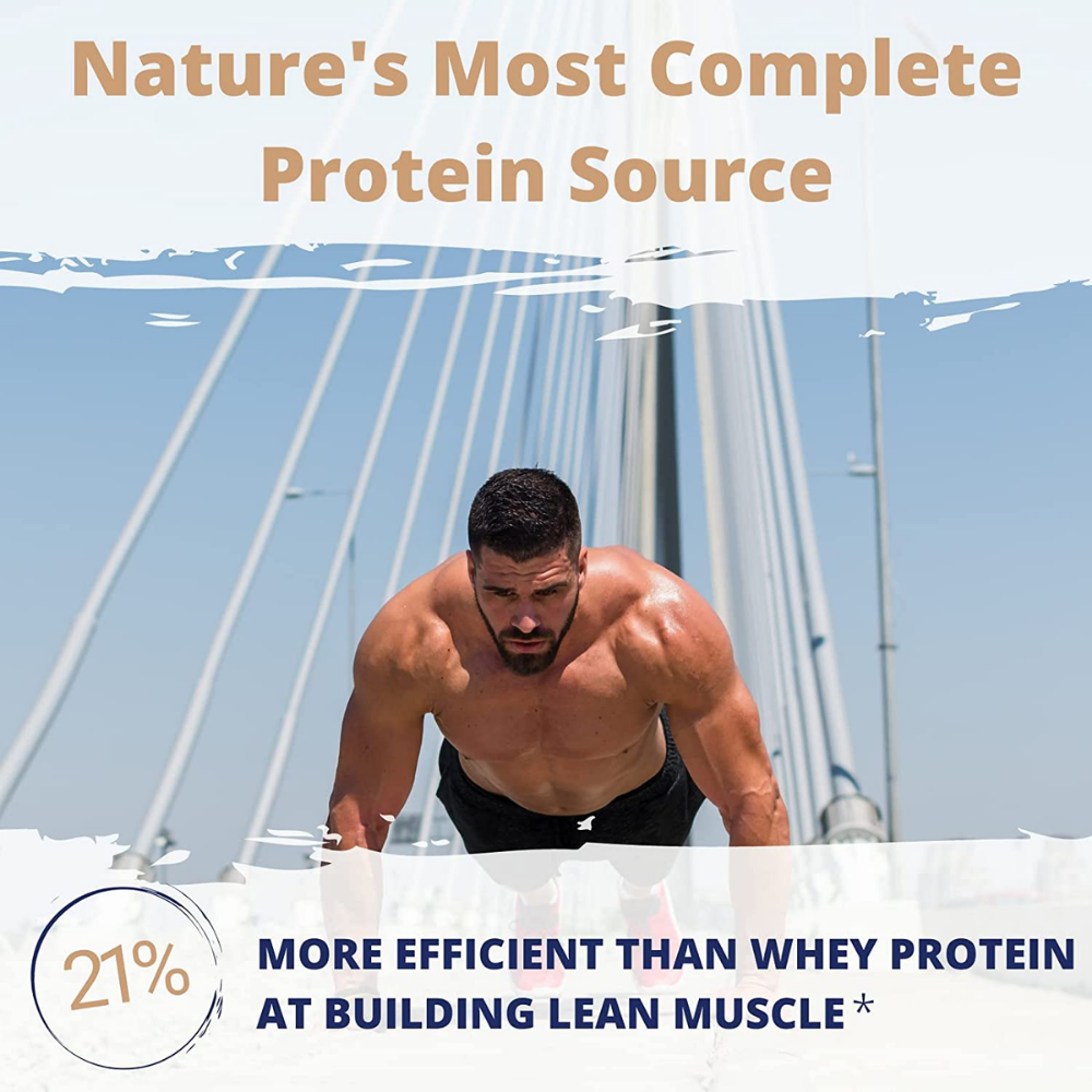 Proven Egg 100% Egg White Protein (2lbs)